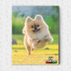 Foto Quadro 10x15cm Em Canvas Personalizado Com Foto