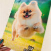 Foto Quadro 10x15cm Em Canvas Personalizado Com Foto - Image 3