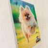 Foto Quadro 10x15cm Em Canvas Personalizado Com Foto - Image 4